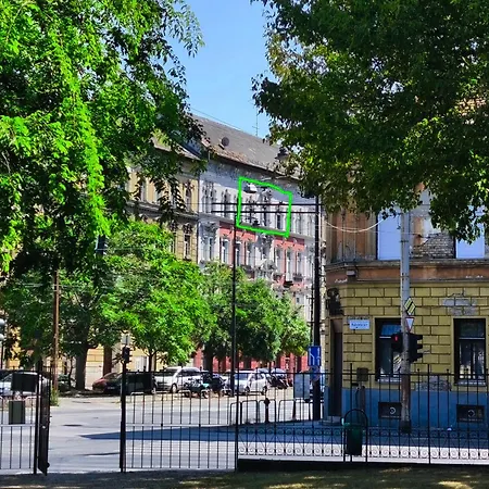 Tagas Napfenyes Lakas